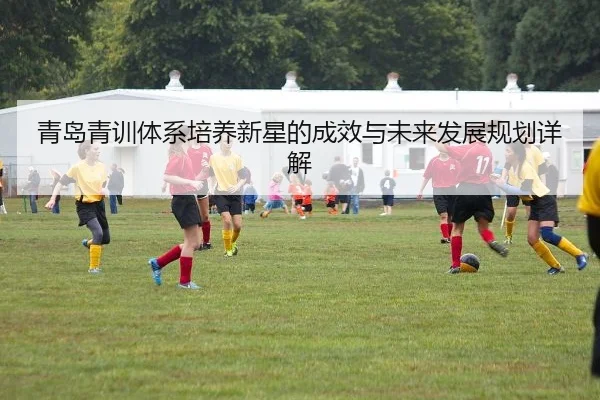 qing-dao-qing-xun-ti-xi-pei-yang-xin-xing-de-cheng-xiao-yu-wei-lai-fa-zhan-gui-hua-xiang-jie-2-171.jpg